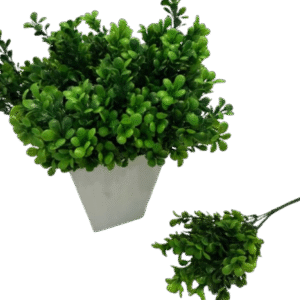 RAMO VERDE EUCALIPTO