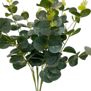 RAMO GRANDE EUCALIPTO