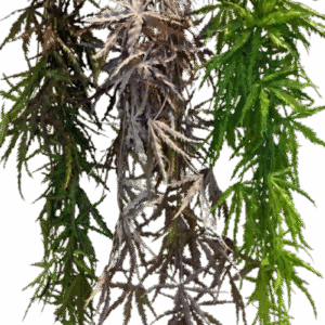 COLGANTE VERDE 80 CM