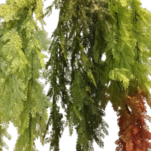 COLGANTE VERDE 75 CM