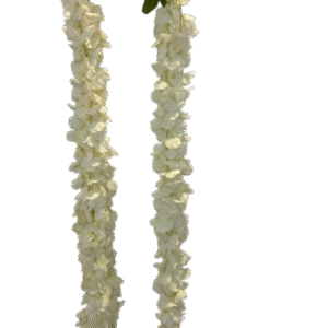 COLGANTE GLICINA BLANCO