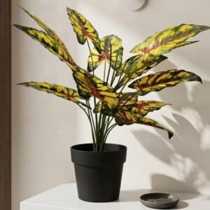 PLANTA 70 CM SIN MACETA
