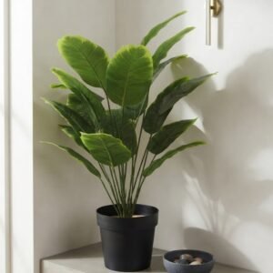 PLANTA 70 CM SIN MACETA