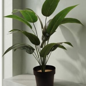 PLANTA 70 CM SIN MACETA