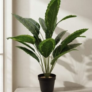 PLANTA 70 CM SIN MACETA