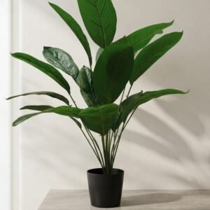 PLANTA 70 CM SIN MACETA