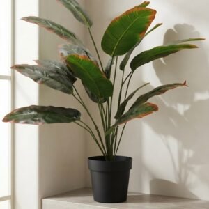 PLANTA 70 CM SIN MACETA