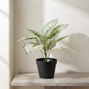 PLANTA 40 CM