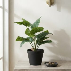 PLANTA VERDE