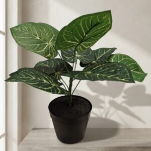 PLANTA VERDE