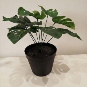PLANTA MOSQUERA