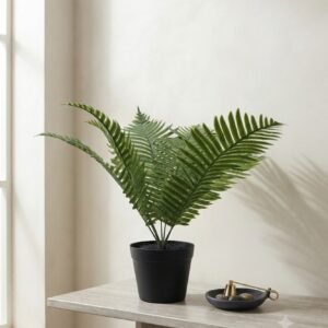 PLANTA PALMERA