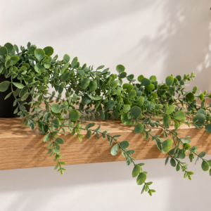 MACETA CON PLANTA COLGANTE